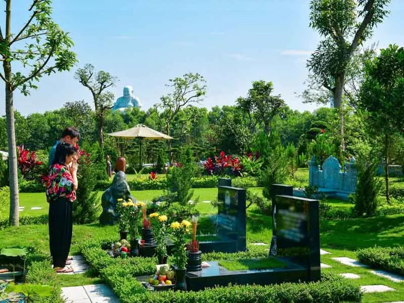 Việc trồng cây cần lưu ý đến vị trí và kích thước để tránh rễ cây làm động mộ