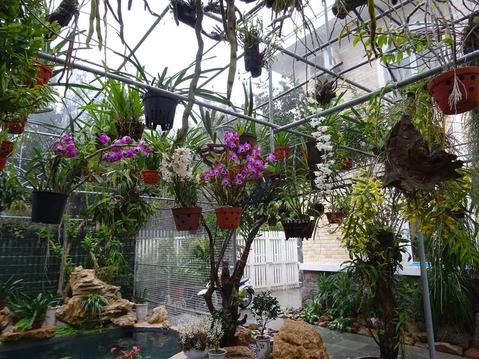 Vườn lan sân thượng, nơi cần kiểm soát chặt chẽ ánh sáng và nhiệt độ