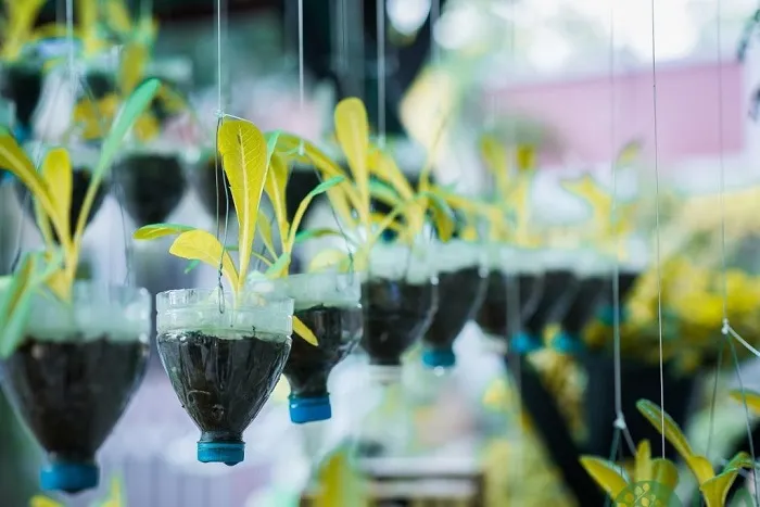 Vườn rau mini xây dựng theo mô hình treo hàng ngang