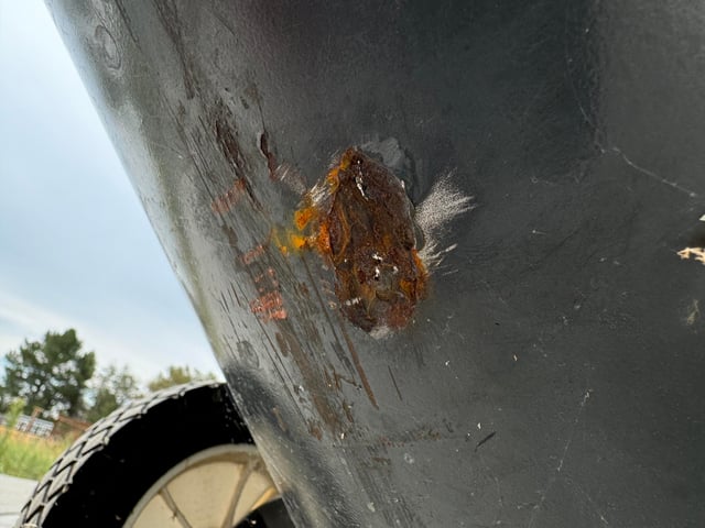 Có Nên Trồng Cây Tùng Trước Nhà Không: Phân Tích Chuyên Sâu Về Phong Thủy Và Kỹ Thuật