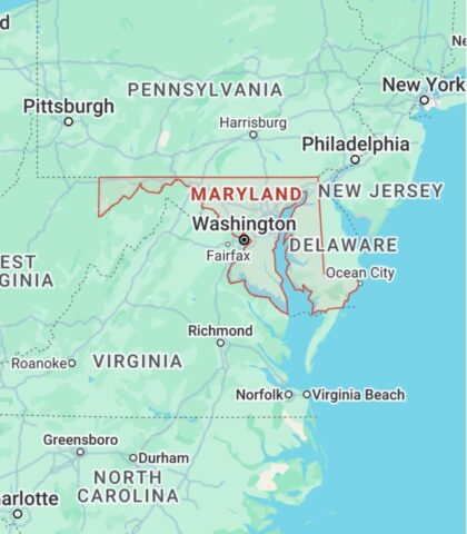 Đất Đồi Núi Nên Trồng Cây Gì: Hướng Dẫn Chi Tiết Để Phát Triển Kinh Tế