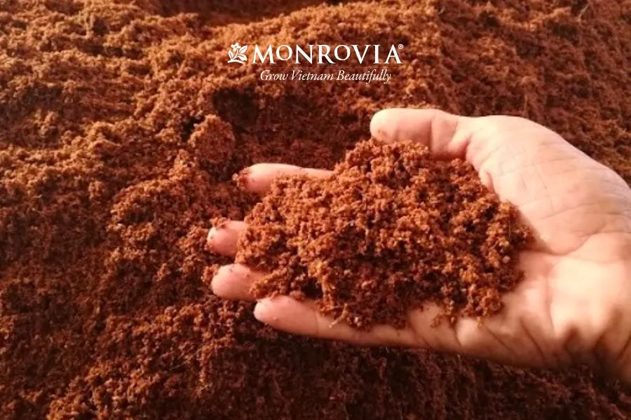 Xơ dừa giúp giá thể trồng hoa hồng giữ ẩm tốt mà không làm cây bị úng