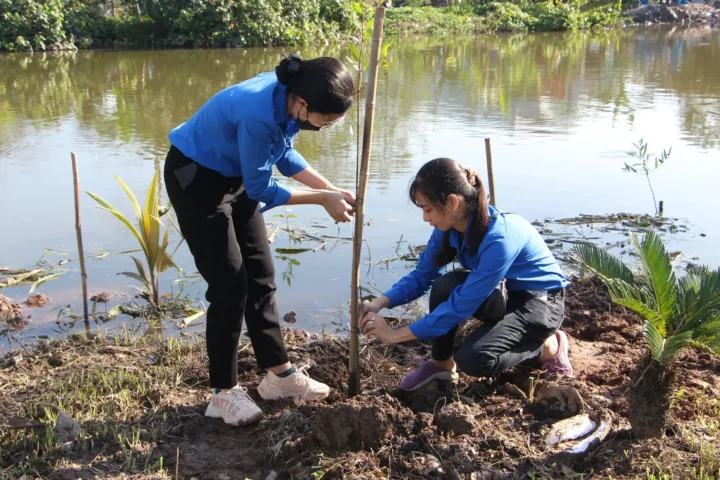 Vì Sao Nên Trồng Nhiều Cây Xanh Để Cải Thiện Môi Trường Sống Toàn Diện