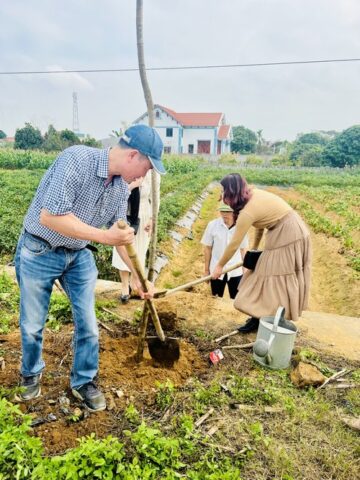 Vì Sao Nên Trồng Nhiều Cây Xanh Để Cải Thiện Môi Trường Sống Toàn Diện