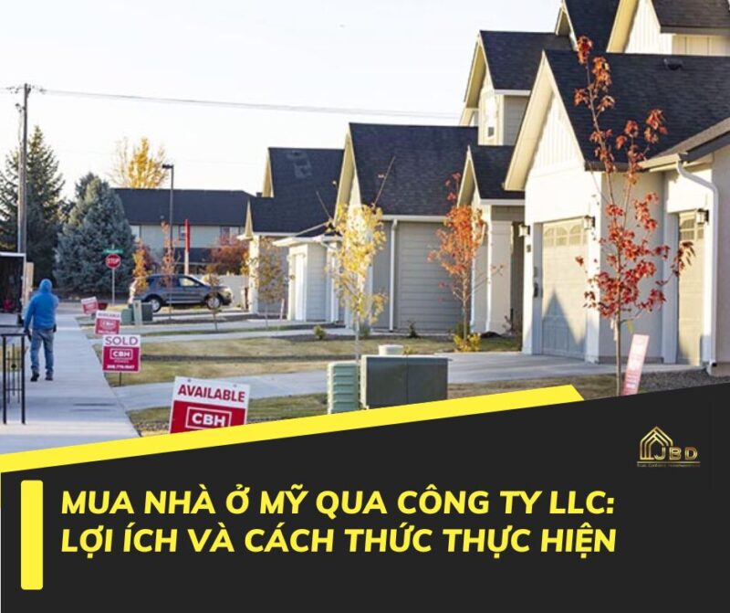 Cách Trồng Lan Hồ Điệp Sau Khi Ra Hoa Đạt Hiệu Quả Tái Sinh Tối Ưu
