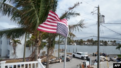 5 Loại Cây Không Nên Trồng Trước Nhà: Phân Tích Về Phong Thủy Và Thực Tiễn