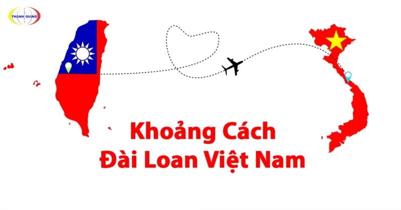 Khoảng Cách Trồng Cây Sở Tối Ưu Cho Năng Suất Cao Và Phát Triển Bền Vững