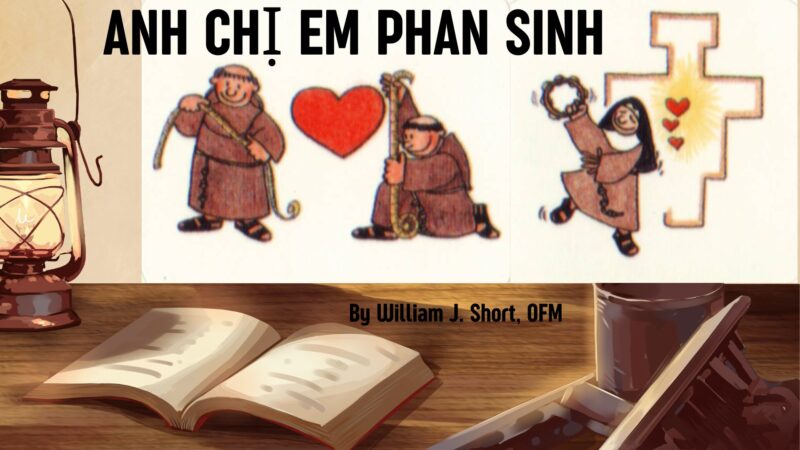 Các Loại Cây Nên Trồng Trong Vườn Nhà Giúp Tối Ưu Sinh Khí Và Phong Thủy