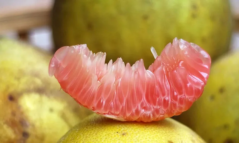 Bưởi giàu vitamin C và chất xơ, tốt cho người tiểu đường