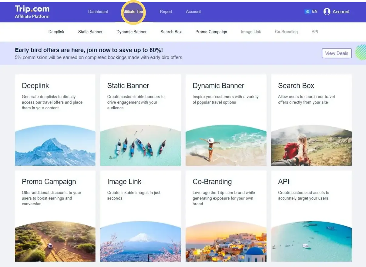 Các bước cấp cứu cây hồng bị sốc nhiệt sau khi chuyển chậu