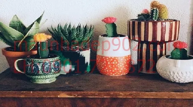 Các loại cây phong thủy có màu sắc tương sinh sẽ là biện pháp hữu hiệu chống lại các nguồn năng lượng xấu