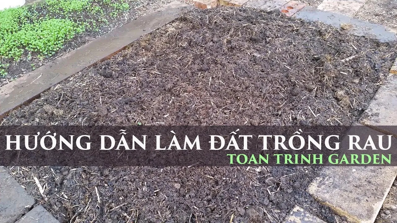 Các thành phần cơ bản chuẩn bị cho cách tạo đất trồng cây cảnh