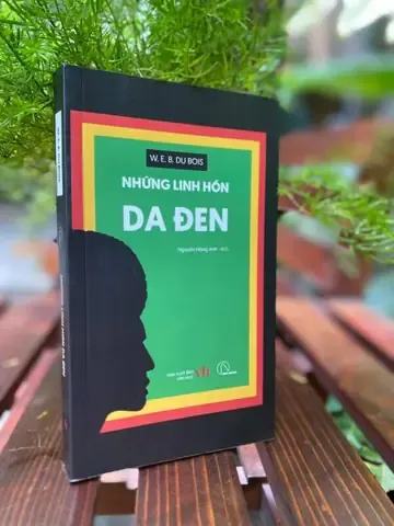 Cách chăm hoa hồng lâu tàn