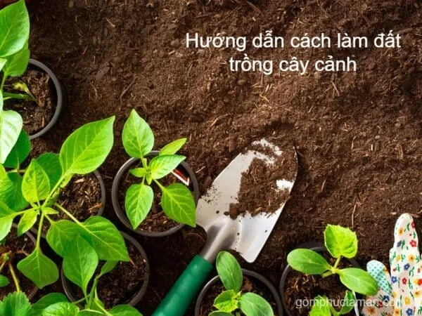 cách làm đất trồng cây cảnh