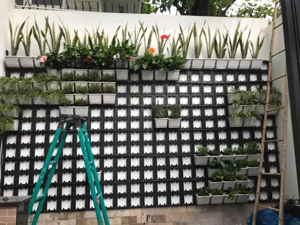 Cách trồng cây trên tường theo phương pháp Module lắp ghép tiện lợi
