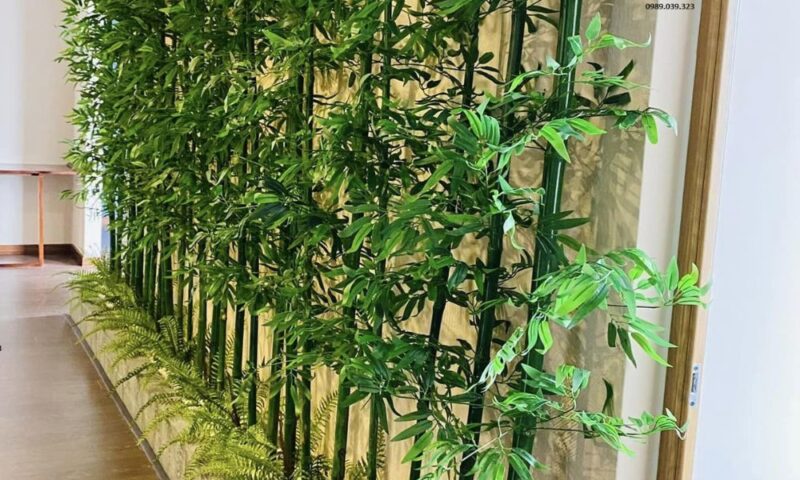 Cây Trúc Quân Tử Nên Trồng Ở Đâu? Hướng Dẫn Chi Tiết Về Vị Trí, Kỹ Thuật Và Phong Thủy