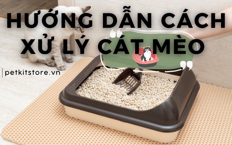 Cách Trồng Cây Trong Hộp Sữa: Hướng Dẫn Chi Tiết Từ A Đến Z