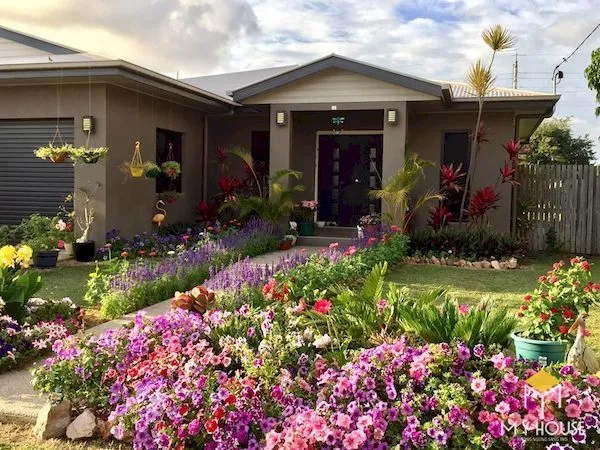 Cận cảnh một cây hoa Lavender đang nở hoa màu tím rực rỡ, thể hiện kết quả thành công của cách trồng hoa lavender từ hạt và chăm sóc đúng cách