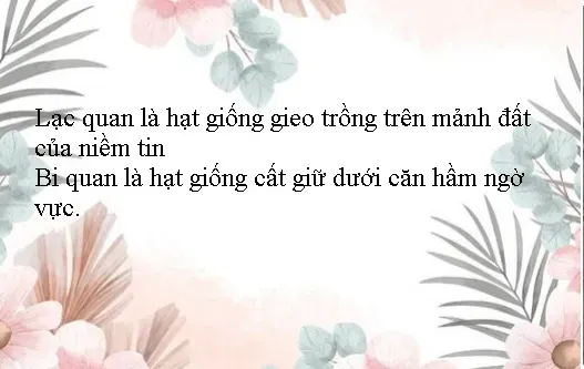 Cánh đồng hoa tam giác mạch và triết lý sống lãng mạn qua STT