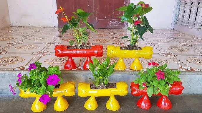 Cảnh quan cây lá bỏng nở hoa nhiều màu sắc được chăm sóc đúng cách