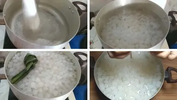 Cây bạc hà Peppermint khỏe mạnh, lá xanh tốt sau khi được chăm sóc đúng cách