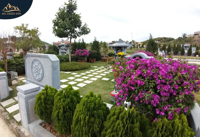 Cây hoa giấy là lựa chọn tốt, không nằm trong danh sách những cây không nên trồng ở mộ