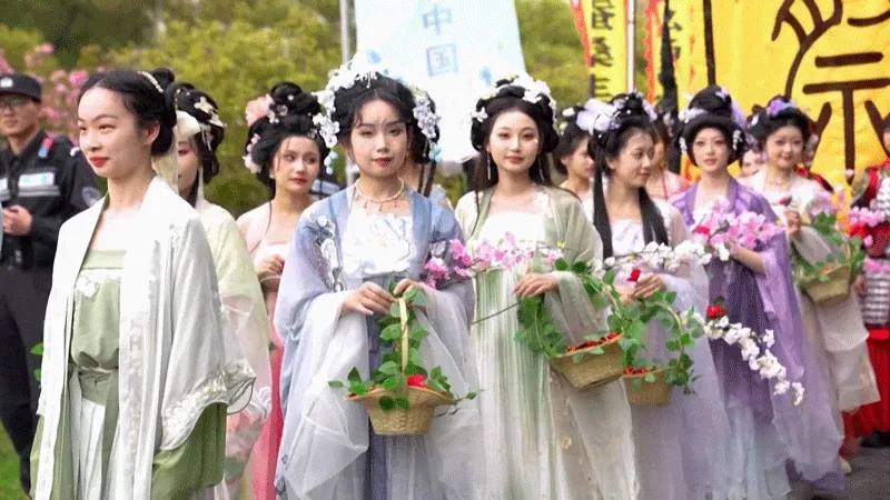 Cây Hoa Hòe Nên Trồng Ở Đâu - Vị Trí Vượng Khí Gia Tăng Tài Lộc