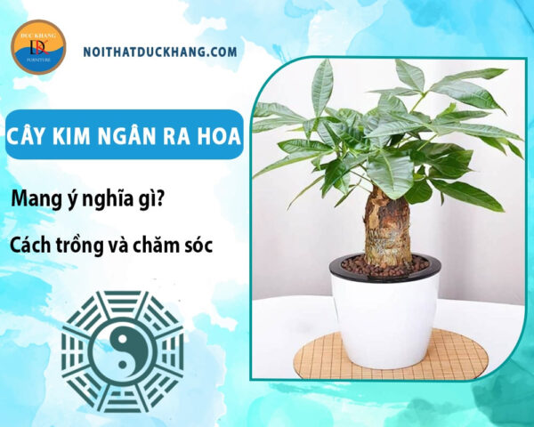 Cách Trồng Cây Kim Ngân Trong Nước: Hướng Dẫn Chi Tiết Từ A Đến Z