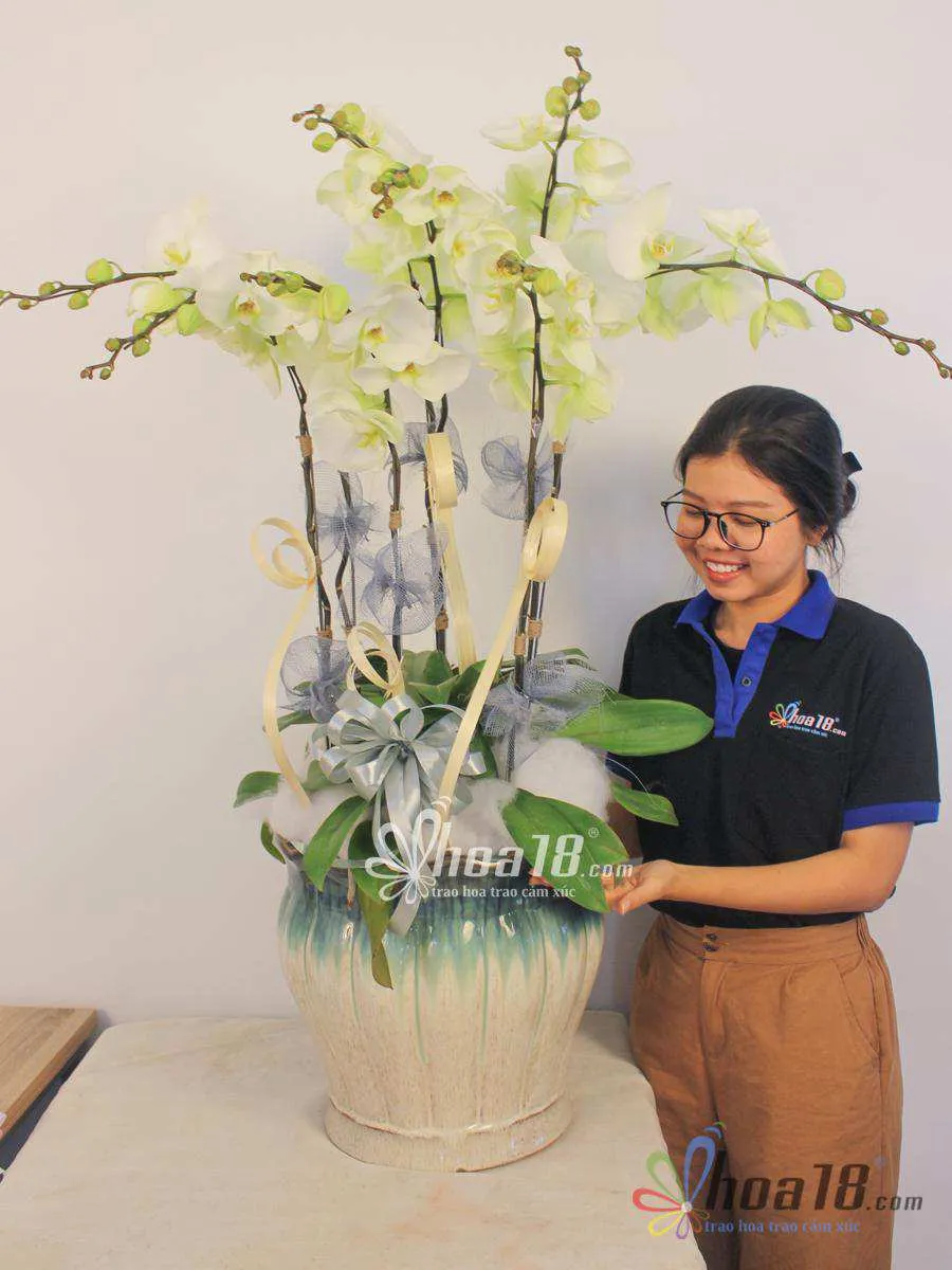 Chậu lan hồ điệp đẹp và sang trọng tại Hoa18, thể hiện cam kết chất lượng của shop hoa tươi quận 7