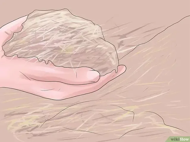 Che phủ bề mặt giá thể để bảo vệ rễ cây khi áp dụng cách trồng cây hướng trọng lực