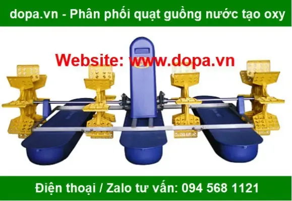 Chi tiết phần rễ và đất trồng của cây Nha Đam kiểng, cho thấy sự thông thoáng và khả năng thoát nước tối ưu