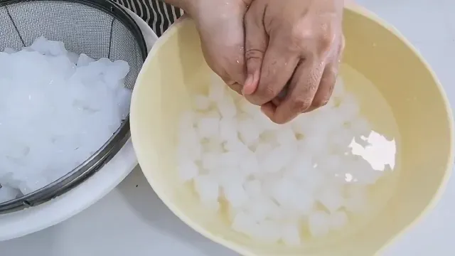 Chọn chậu lớn và có lỗ thoát nước tốt cho bạc hà Peppermint