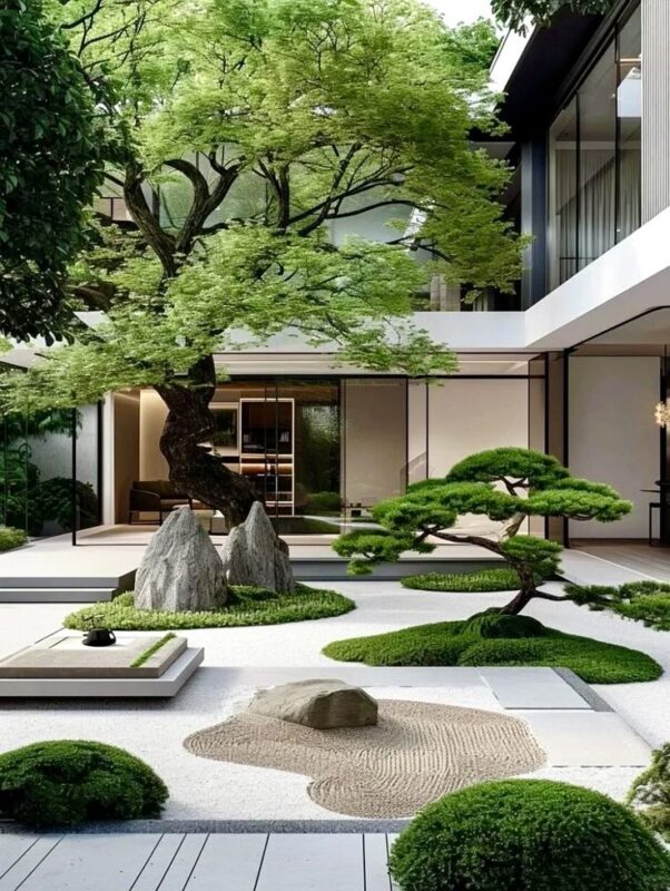 Đất Trống Nên Trồng Cây Gì: Phân Tích Chuyên Sâu Và Gợi Ý Thiết Kế Cảnh Quan Bonsai
