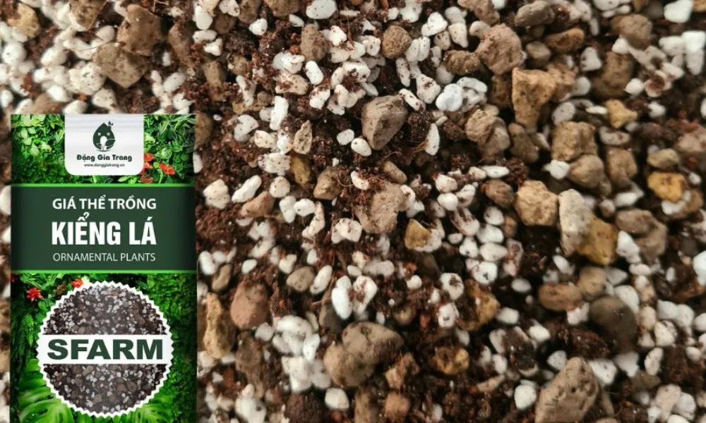 giá thể trồng kiểng lá SFARM để tăng độ thoát nước và dinh dưỡng