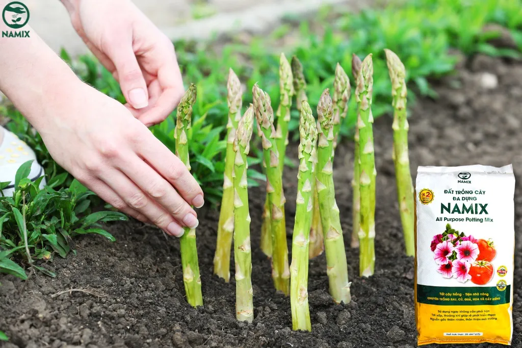 Hình ảnh cận cảnh mô tả đất trồng cây đa dụng NAMIX, dễ trồng, giàu dinh dưỡng