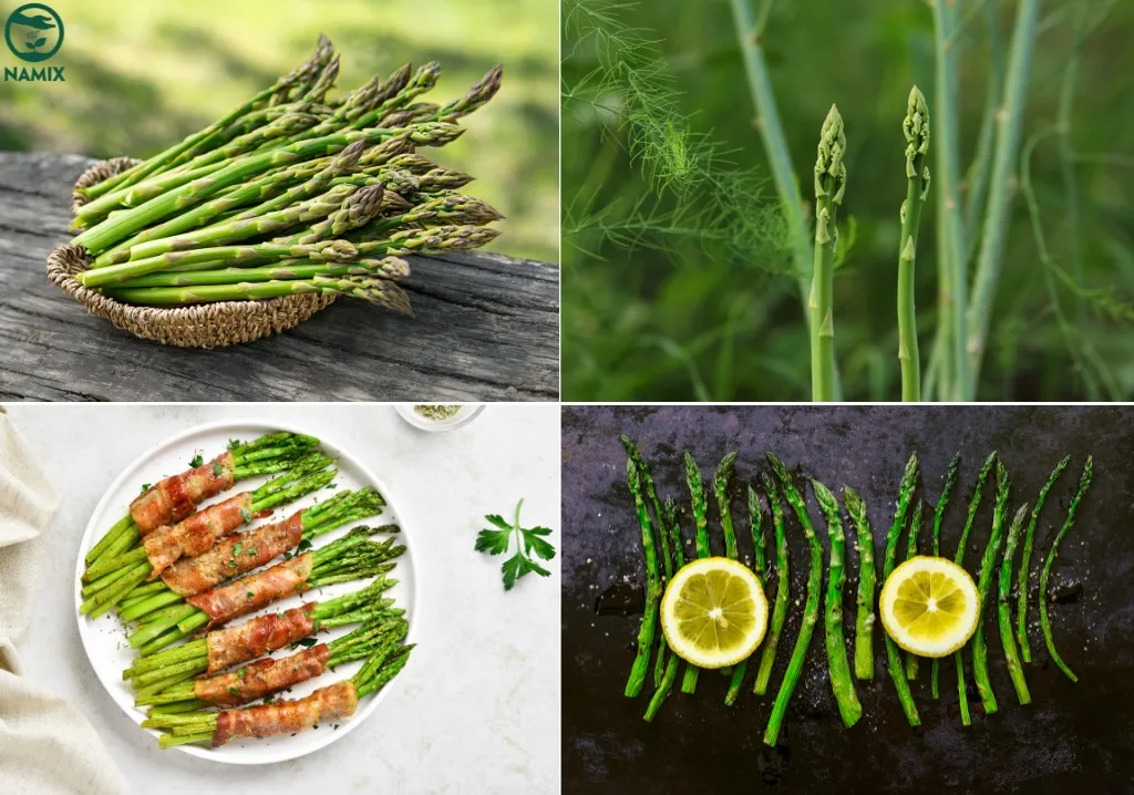 Hình ảnh mô tả măng tây là loại rau dinh dưỡng, rất tốt cho sức khoẻ