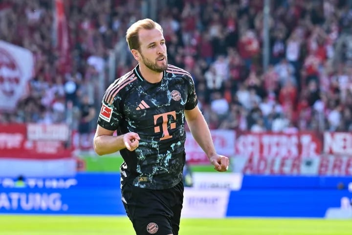 Cách Trồng Cây Da Rắn Chuẩn Nhất Tại Nhà Cho Người Mới