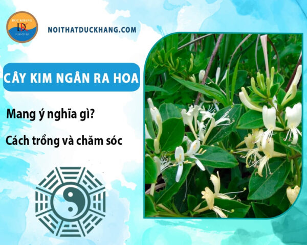Cách Trồng Cây Kim Ngân Hoa Chi Tiết Từ A Đến Z
