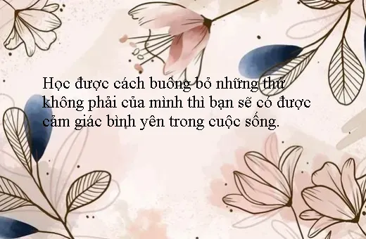 Hoa sen nở rộ, biểu tượng của sự thanh khiết trong cách gieo trồng hoa tam giác mạch tâm hồn