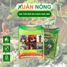 Hỗn hợp giá thể chuyên dụng giúp rễ sen đá phát triển và hỗ trợ cách trồng sen đá ra hoa