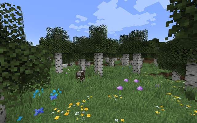 Cách Trồng Cây Cỏ Bàng Đạt Năng Suất Cao Trên Đất Phèn