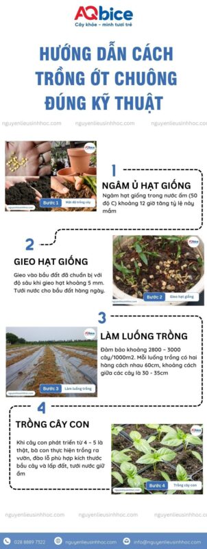 Cách Xử Lý Mùn Cưa Để Trồng Cây Chuyên Sâu Đảm Bảo Năng Suất Cao