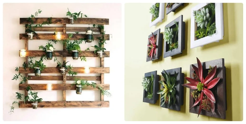 Kết hợp treo bóng đèn để tạo ánh sáng hỗ trợ sự phát triển của cây cảnh treo tường