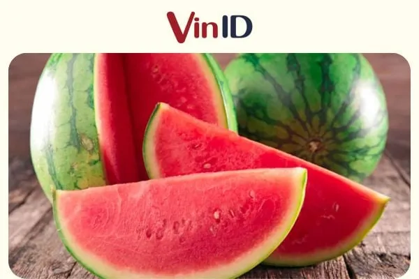 Khoảng cách trồng cau vua hợp lý mang lại lợi ích lâu dài cho cây