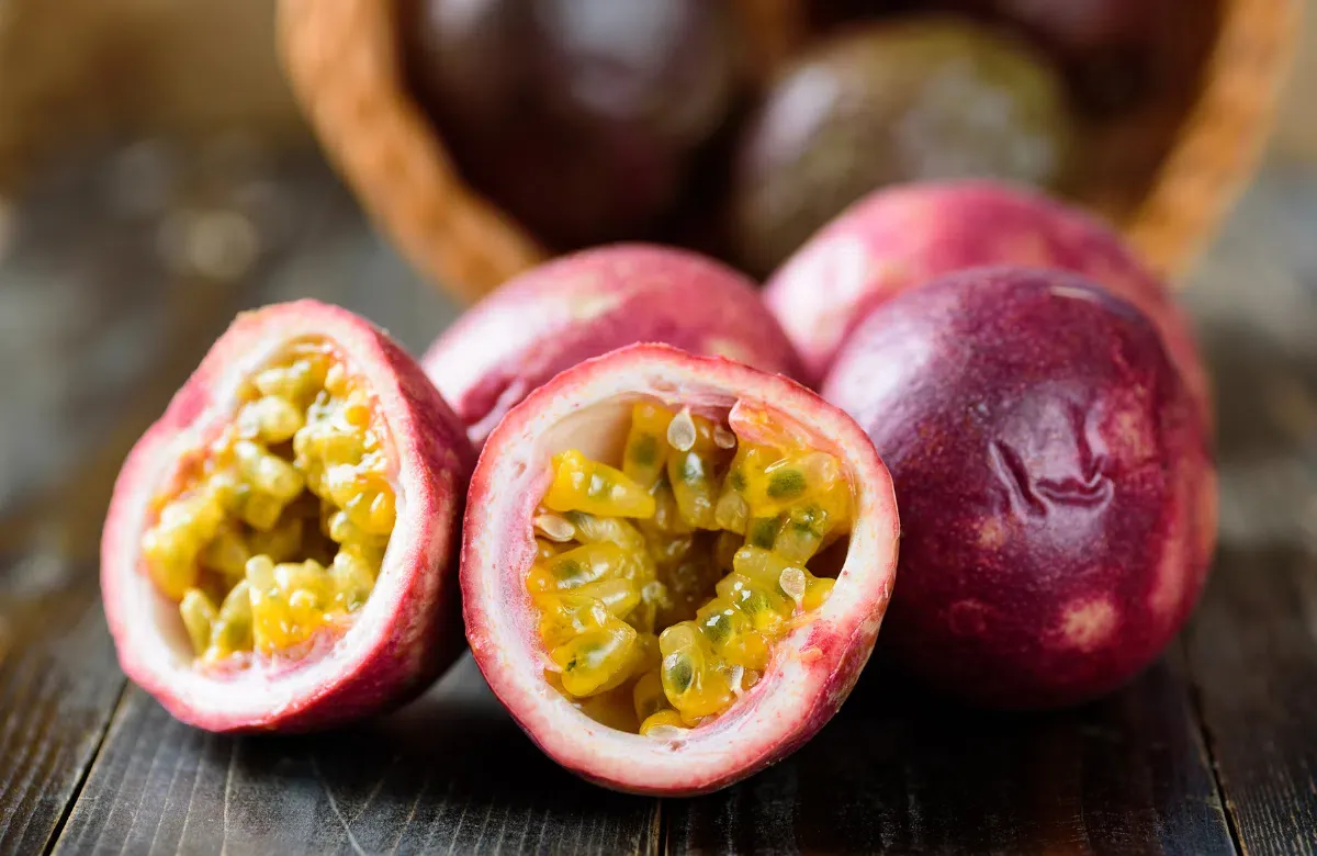 Khoảng cách trồng cây vú sữa Hoàng Kim tối ưu cho vườn