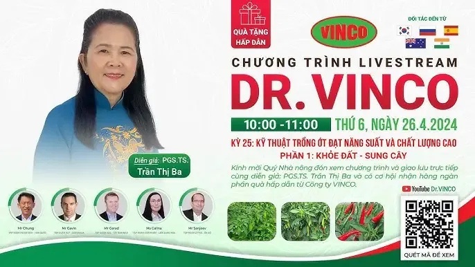 Kỹ thuật chăm sóc cây cam xen canh hoa hồng