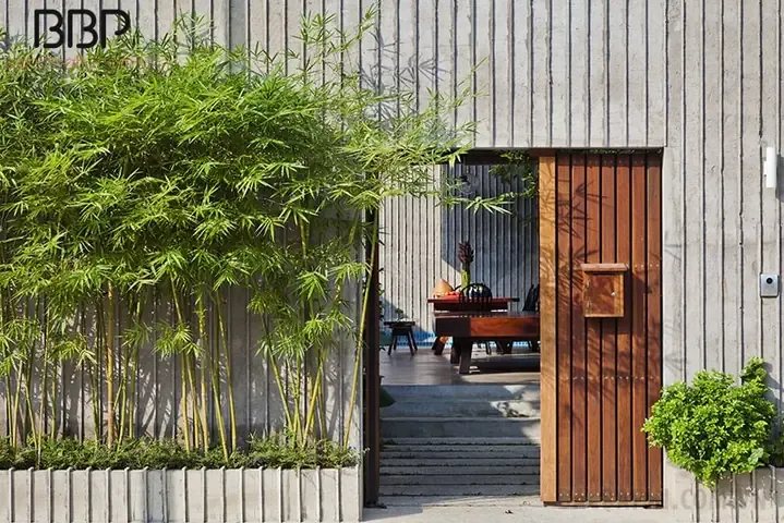 Kỹ Thuật Nhân Giống Cây Mai Chiếu Thủy