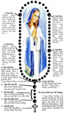 Kỹ thuật trồng cây táo bằng hạt giống tại nhà