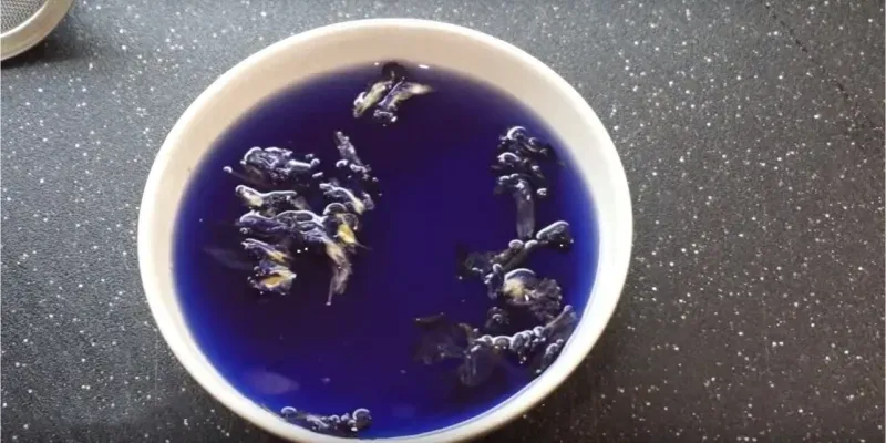 Lá bạc hà Peppermint sau khi sấy khô để bảo quản lâu dài