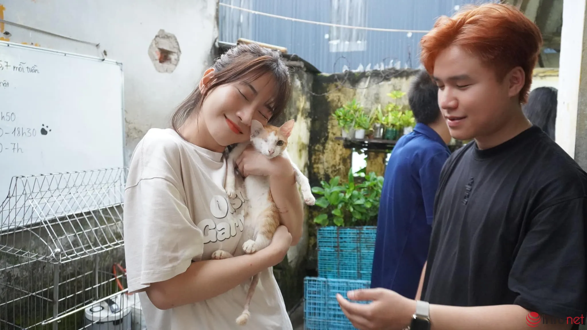 Lê Bống có năng khiếu hội họa và rất yêu động vật, tuổi đinh tỵ nên trồng cây gì